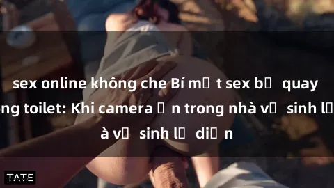 sex online không che Bí mật sex bị quay lén trong toilet: Khi camera ẩn trong nhà vệ sinh lộ diện